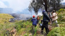 Upaya pemadaman dan monitoring karthula di Bukit Teletubies, kawasan wisata Taman Nasional Bromo Tengger Semeru, Jumat, 31/8/2023. (Dok. BPBD Kabupaten Probolinggo)

