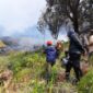 Upaya pemadaman dan monitoring karthula di Bukit Teletubies, kawasan wisata Taman Nasional Bromo Tengger Semeru, Jumat, 31/8/2023. (Dok. BPBD Kabupaten Probolinggo)

